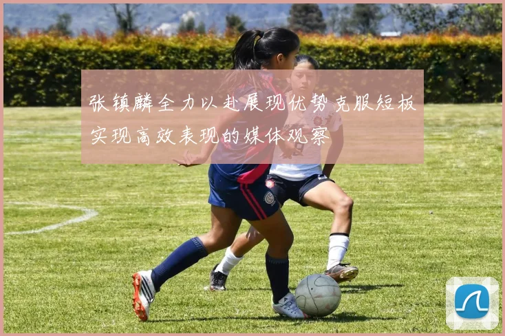 张镇麟全力以赴展现优势克服短板实现高效表现的媒体观察